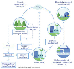 Bharat Clean Energy